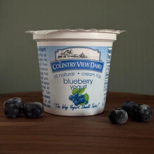 Blueberry 1% Yogurt