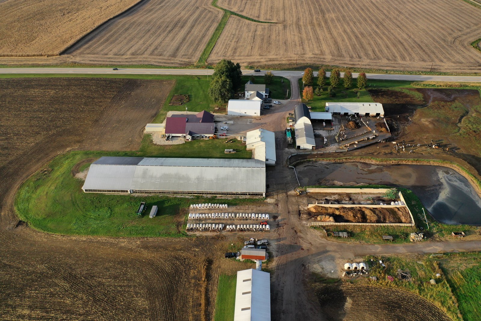 Country View Dairy farm